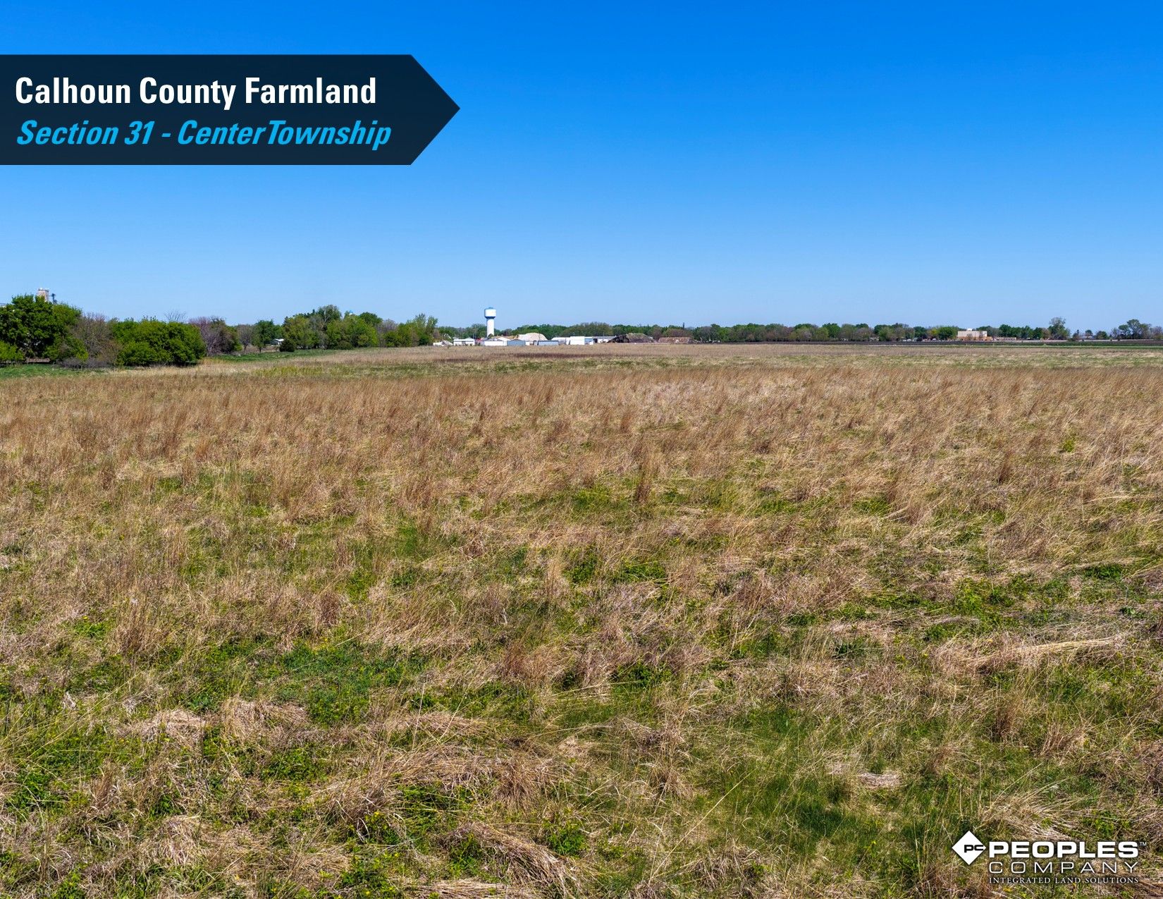 Listing Photo: Calhoun-County-Iowa-Land-Available-Rockwell-City-78.20Acres-Center-Township (2)